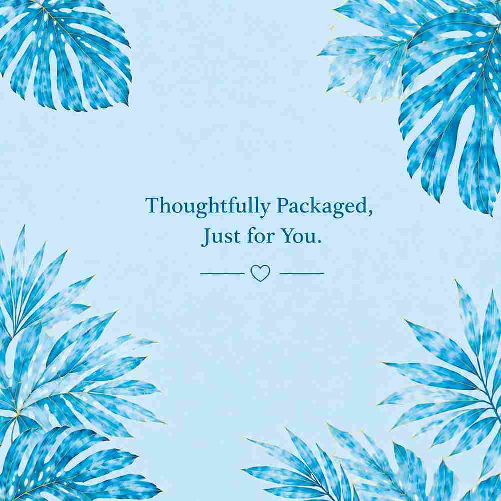 Creating a Premium Custom Packaging Solution for Zack’s Large-Size Boxes 5 artwork 4 11zon