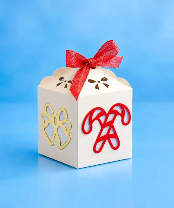 Christmas Favour Boxes